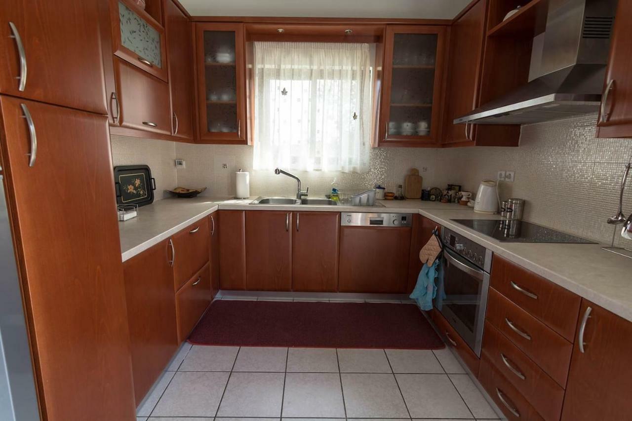 Big Family House In Mesochoria Village Buitenkant foto