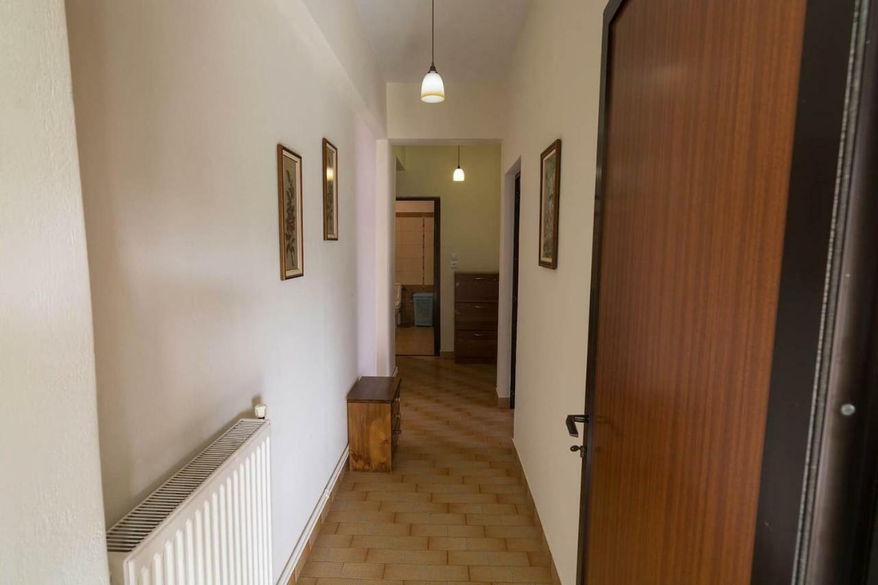 Big Family House In Mesochoria Village Buitenkant foto