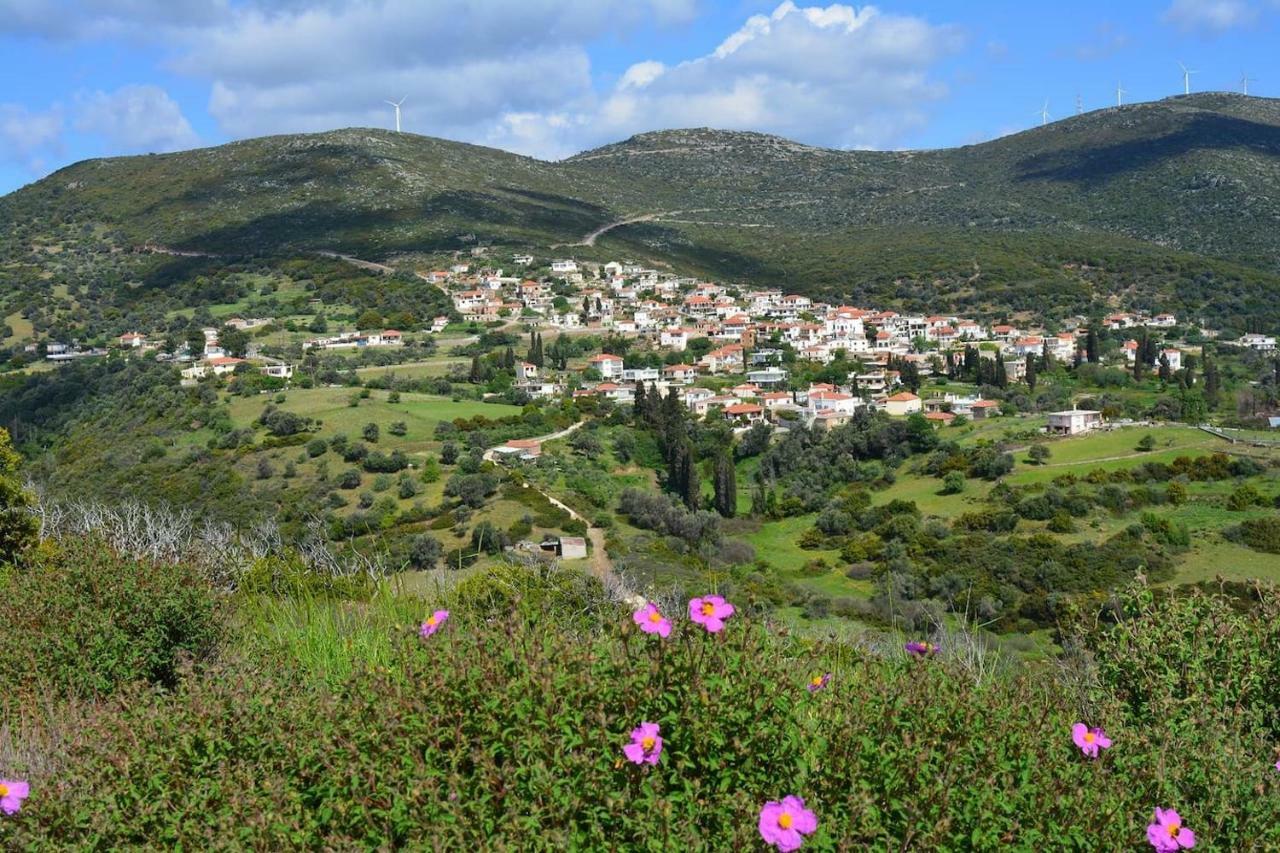 Big Family House In Mesochoria Village Buitenkant foto